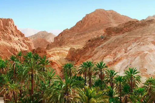 How Much Does a Trip to Tunisia Cost? (2026 Budget)